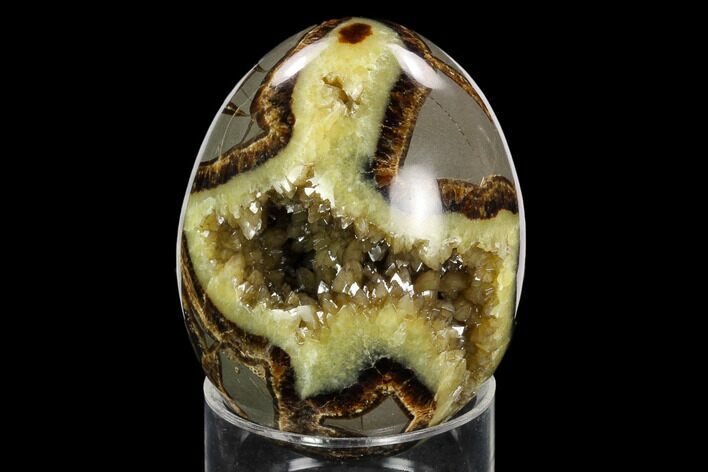 Calcite Crystal Filled Septarian Geode Egg - Utah #123846